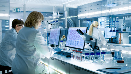 Female and Male Scientists Working on their Computers In Big Modern Laboratory. Various Shelves with Beakers, Chemicals and Different Technical Equipment is Visible. - obrazy, fototapety, plakaty