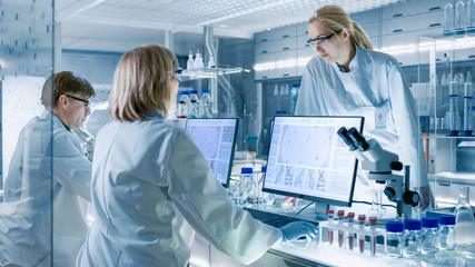 In Modern Laboratory Senior Female Scientist Discusses Work with Young Female Assistant. Laboratory...