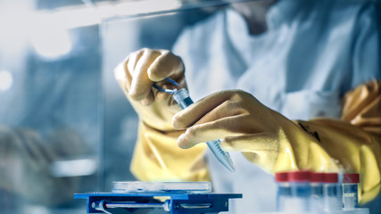 Close-up Shot of Scientists Hands with Samples in Isolation Glove Box. She's in a Modern Laboratory...
