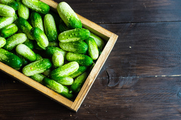 Organic food concept