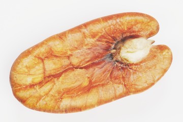 Realistic 3D Render of Pecan Nut