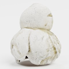 Realistic 3D Render of Popcorn