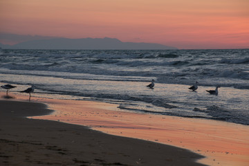 Tramonto sul Gargano