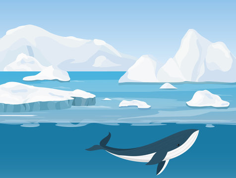 Vector Illustration Of Beautiful Arctic Landscape Of Northern And Antarctic Life. Icebergs In Ocean And Underwater World With Whale In Flat Cartoon Style.