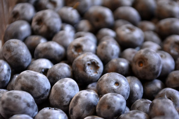 blueberry background