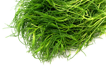 白背景の新鮮なオカヒジキ（おかひじき）　コピースペースあり