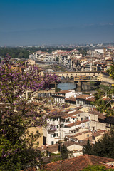 Fototapeta na wymiar Italia, Toscana, Firenze,il Ponte Vecchio