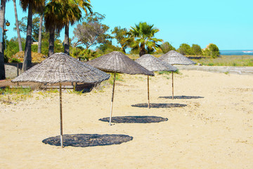 Straw umbrellas on the sand