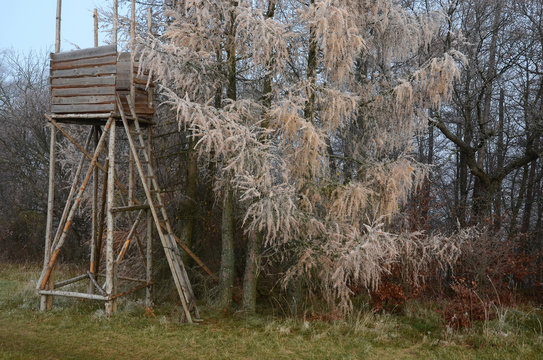 Jagdhochsitz unter raureifbedeckter L&auml;rche