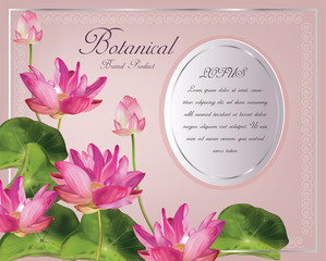 lotus flower realistic vector