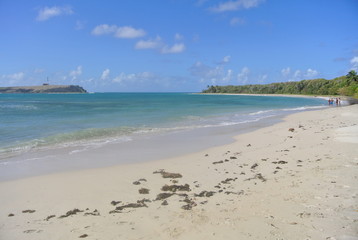 Fototapeta na wymiar Beach Martinique