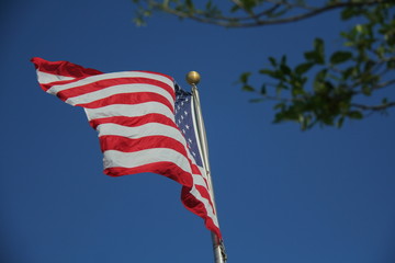 American Flag Stars and Stripes Waving Clear Blue Sky in Afternoon Sun with Tree Leaves Above Right