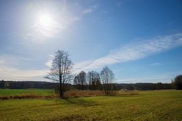 Fototapeta premium Wetlands lanscape in spring.