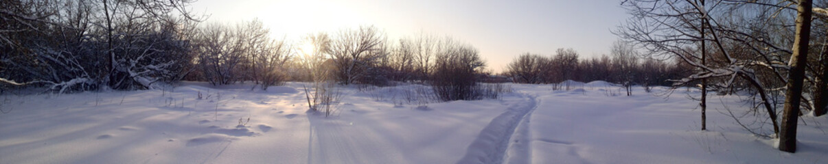 winter trail panorama