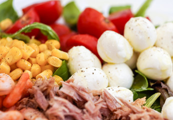 Fresh mixed salad with tuna and mozzarella close up and selective focus