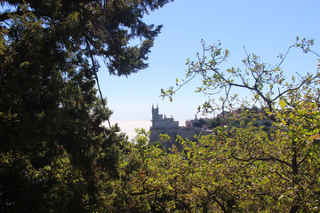 castle swallow nest in the Crimea
