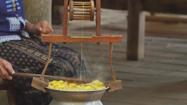 Boiling Silkworm Cocoons. 