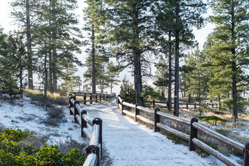 Snow on trail in Bryce Canyon National Park