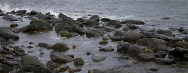 Tide Pool