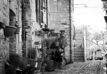 Plant vases hanging on the brick wall in Spello (Umbria, Italy)