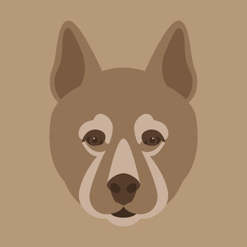  dog  face head vector illustration flat style front