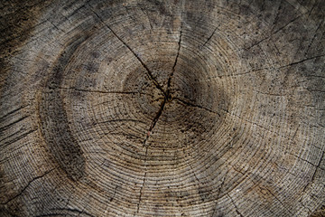 Naklejka premium old cut wood background with cracks