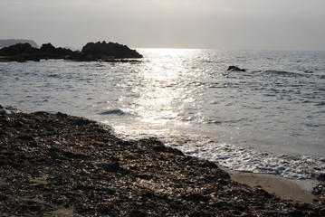 algas amontonadas en la Playa de Rena Majore, Spiaggia Rena Majore, Alguero, Alguer, Italia.
