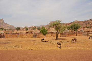 Fototapeta na wymiar Village on the area of Sahel in Chad 
