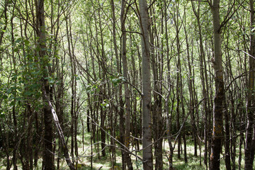 Hiking Destinations (Andorra)
