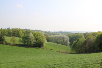 Zauberhafte Naturlandschaft im Frühling 