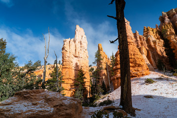 Naklejka premium Rock formation in Bryce Canyon National Park, Utah