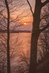 Golden sunrise between the trees