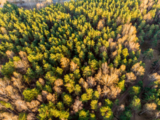 aerial view of imanta riga small forest