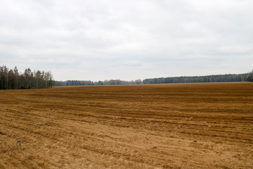 Landscape field, brown dug up land with beds, furrows for plowing, sowing grain on a background of...