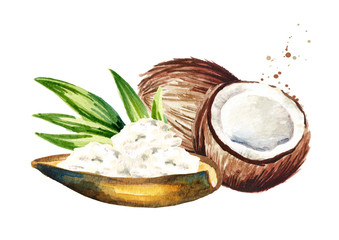 Coconut butter on wooden background and nuts and green leaves. Watercolor  hand drawn illustration  isolated on white background