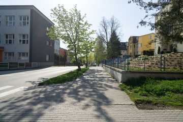 Shadow of the tree on the street. Slovakia