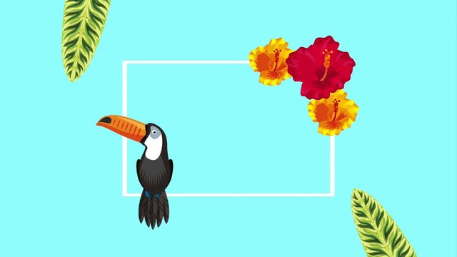 cute exotic toucan tropical flower and leaves plant border template