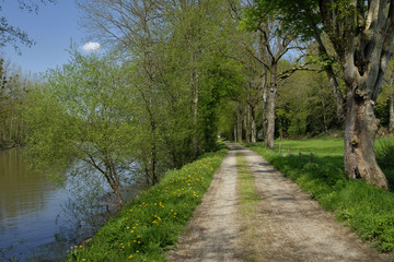 Fototapeta premium Voie verte en Mayenne