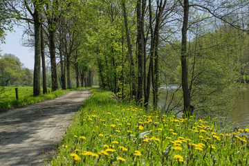 chemin de halage en Mayenne
