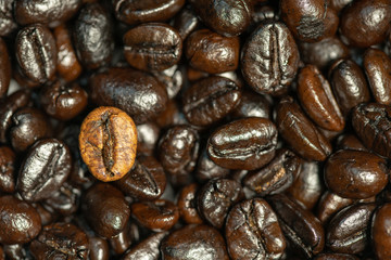 Coffee Bean Pattern