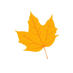 Autumn Leaf, Autumn Illustration