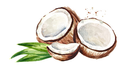 Fototapeta premium Cracked coconut with green leaves. Watercolor hand drawn illustration, isolated on white background