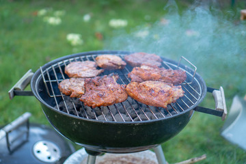 Barbecue Grill - Grilled chicken , Pork, spare ribs, sausage and on the Grill