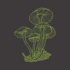 Vector hand drawn mushrooms illustration. Green on a dark background.