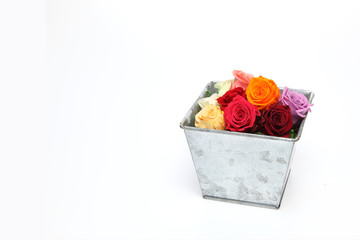 ブリキ植木鉢に挿したバラ