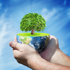 Planet Earth with tree in human hands against blue sky