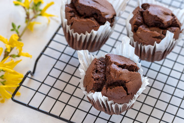 Muffin cakes with chocolate