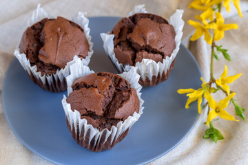 Muffin cakes with chocolate
