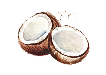 Two halves of coconut. Watercolor hand drawn illustration, isolated on white background