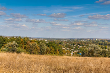 Obraz premium Protective forest stands in the steppe